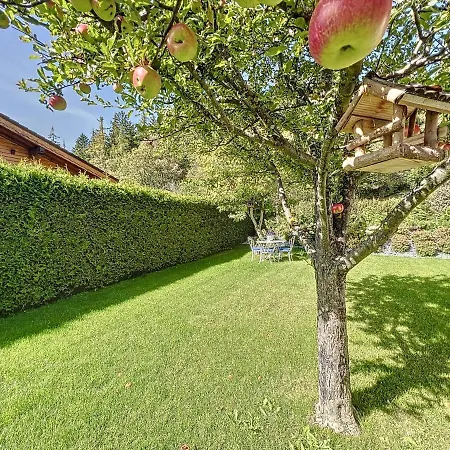 Dağ evi Niva Crans-Montana
